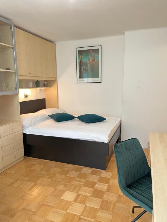 Luxury Studio Apartments Λιουμπλιάνα Εξωτερικό φωτογραφία